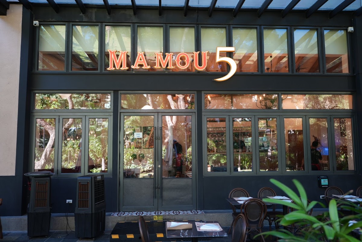 Mamou 5