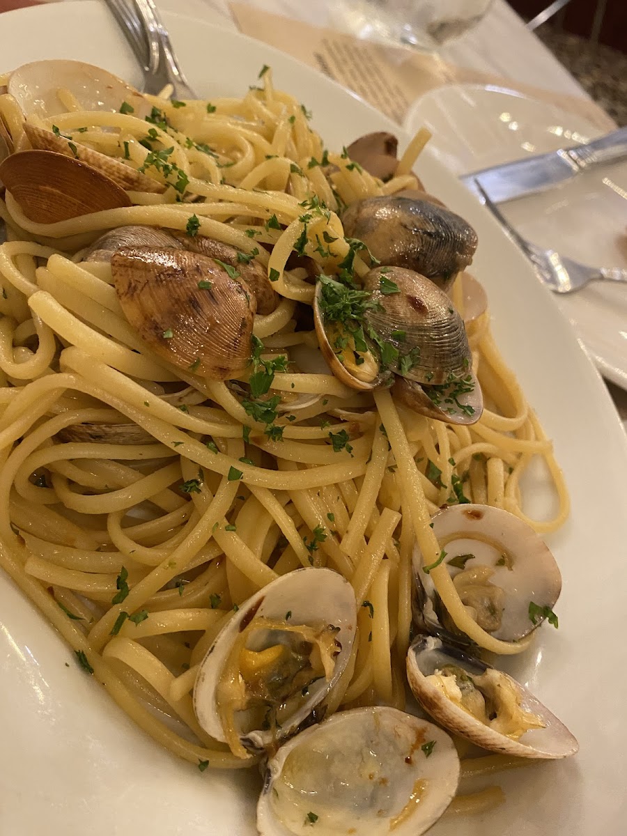 Mamou 5