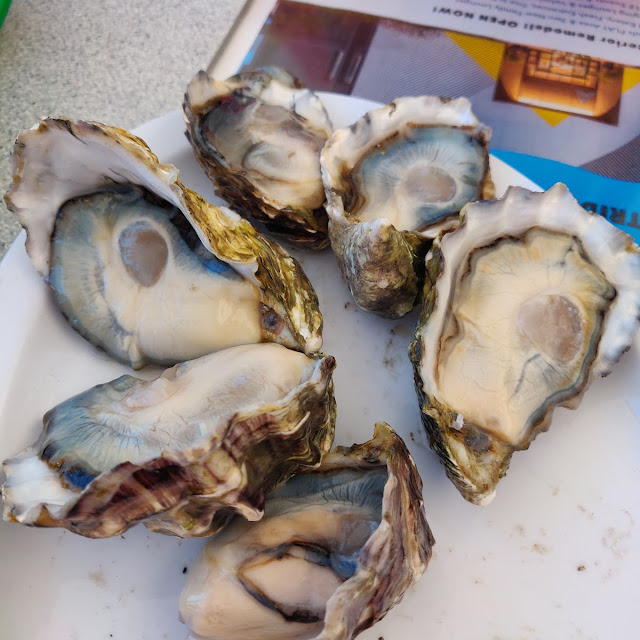 Oyster