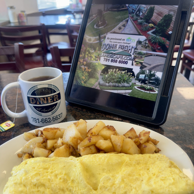Home Fries with Cheese Omelette