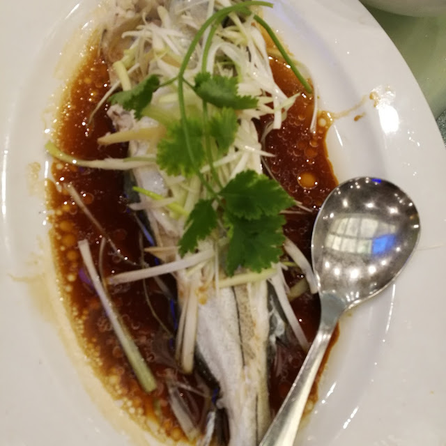 steamed flounder 清蒸龙利鱼 k