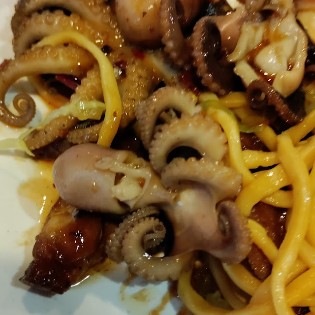 Baby Octopus