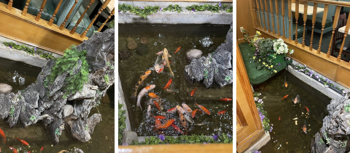 New Tin Tin Buffet