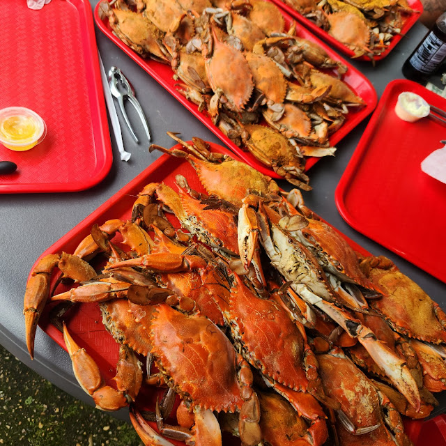 Steamed Blue Crabs