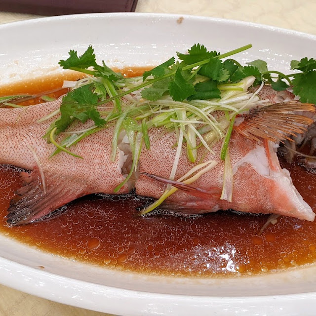 Steamed Black Cod