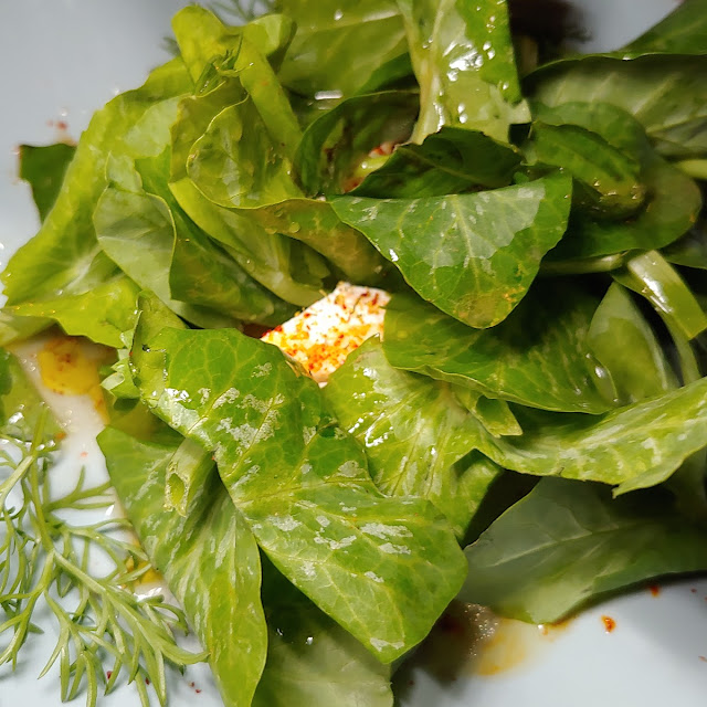 Little Gems Green Goddess Fiore Sardo