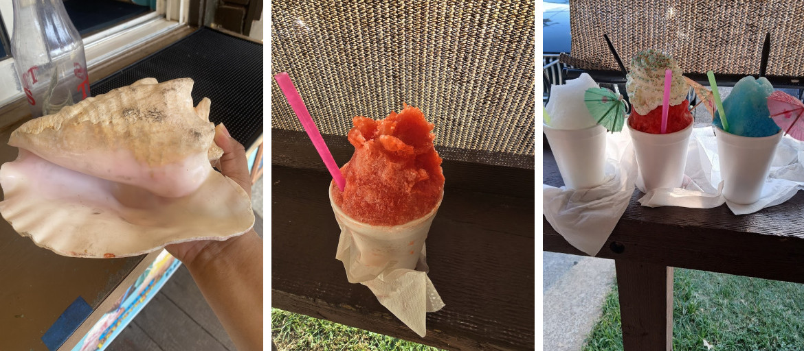 Polar Penguin's Snowcones