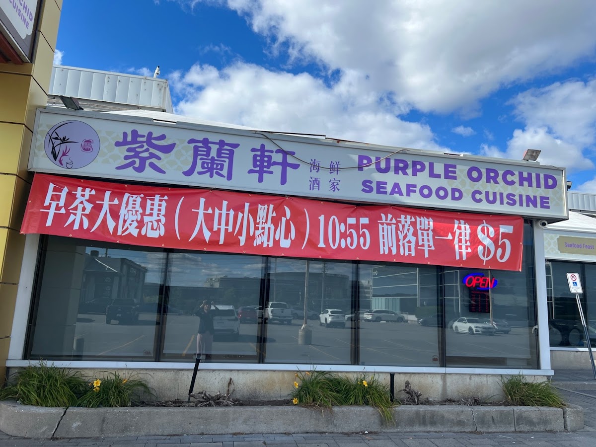 紫蘭軒 Purple Orchid