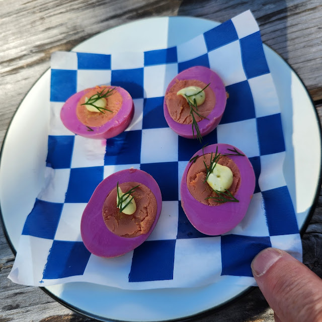 Pickled Eggs