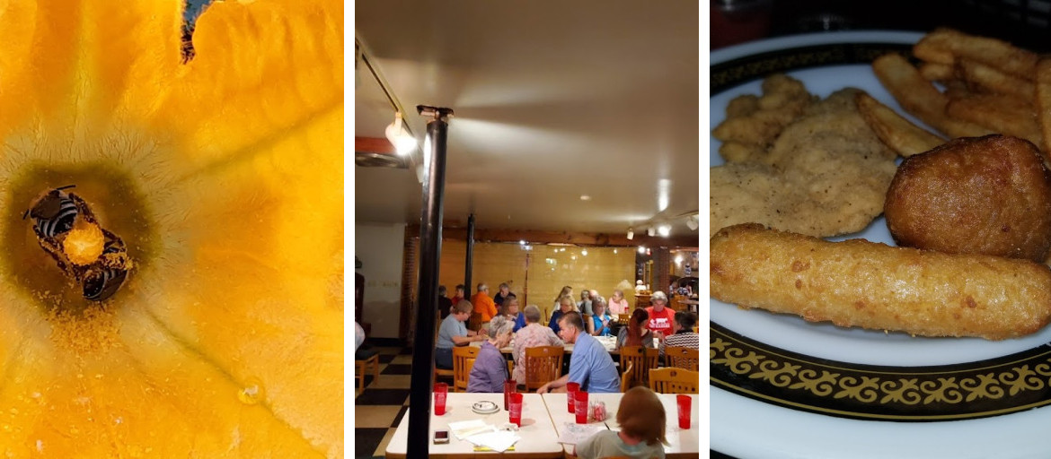 Ray's Restaurant