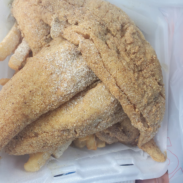 Fried Lake Trout Fish