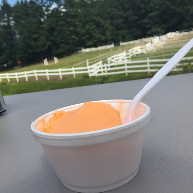 Orange Sorbet