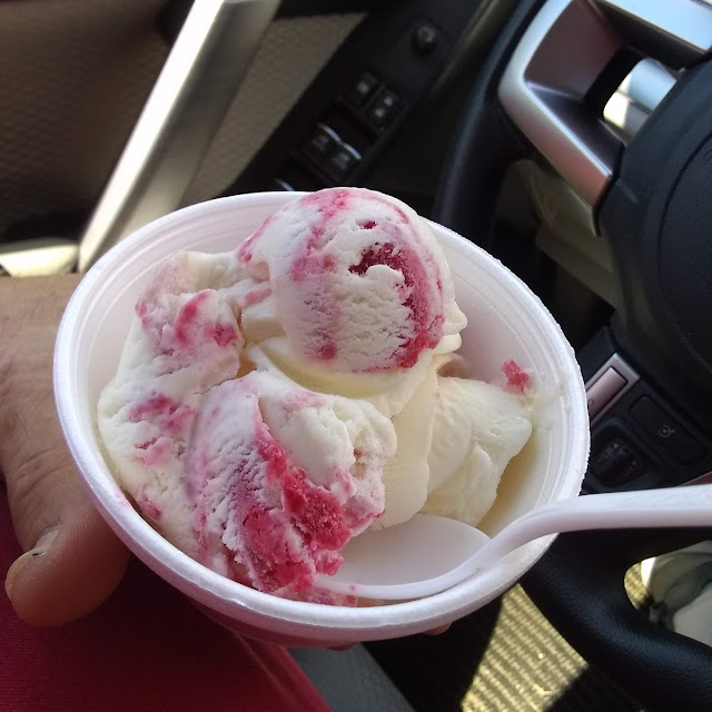 Raspberry Swirl No Sugar