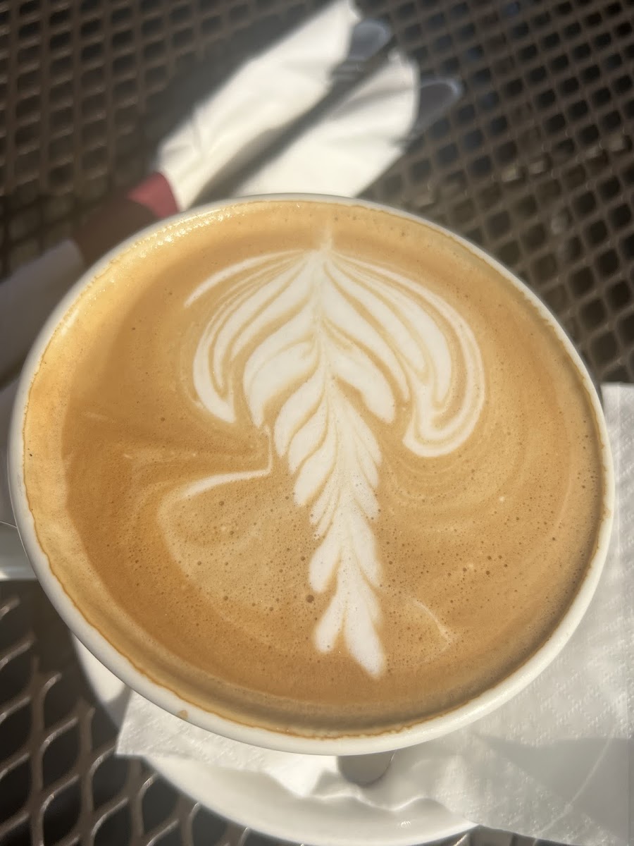 Sheer Bliss Bakery Cafe Ltd