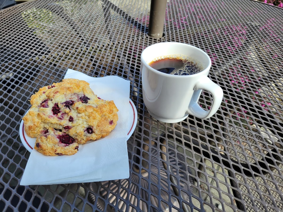 Sheer Bliss Bakery Cafe Ltd