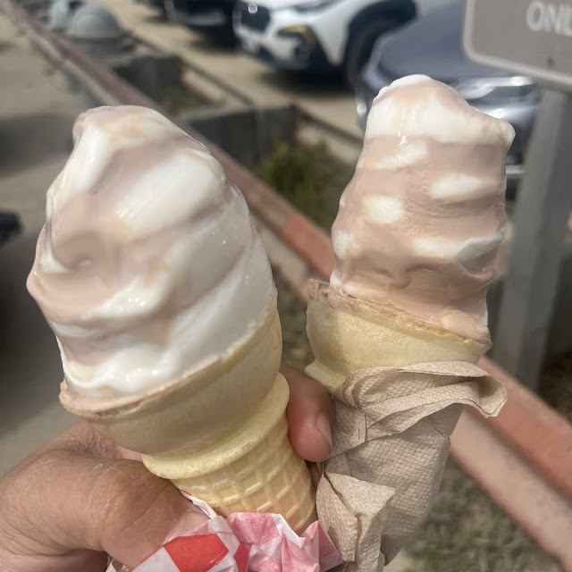 Swirl Ice Cream Cone