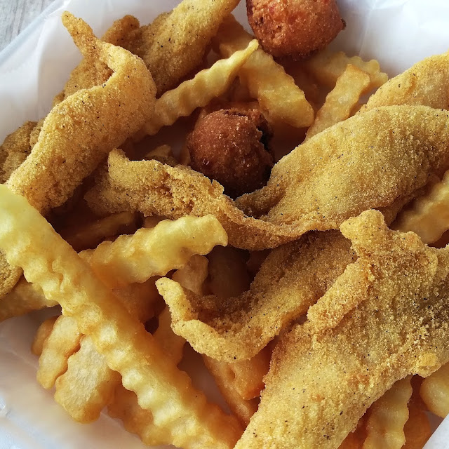 Regular Fish Plate