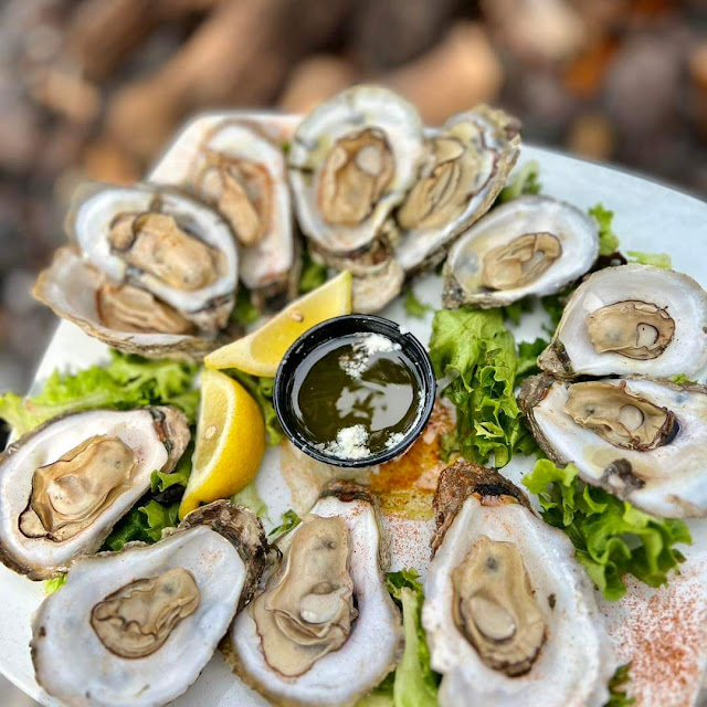Gulf Oysters