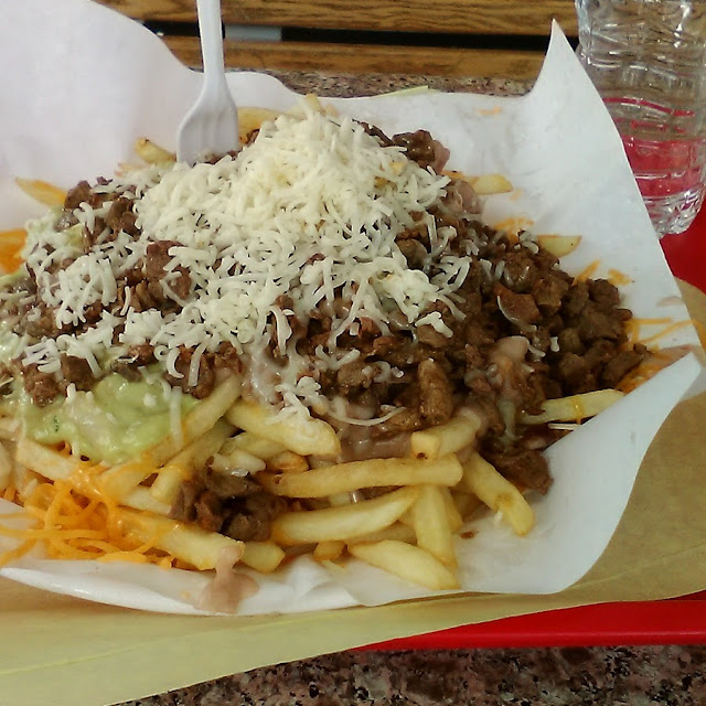 Asada Fries Wrap