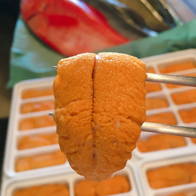 Uni Sea Urchin