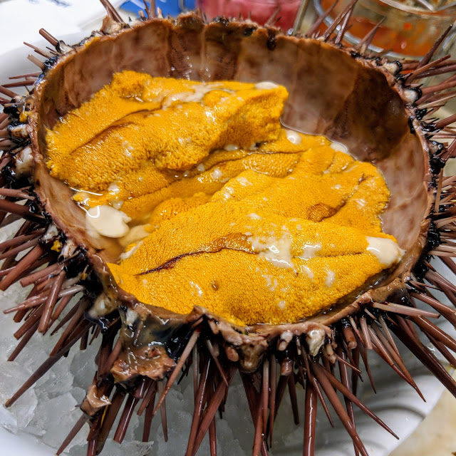 Uni Sea Urchin