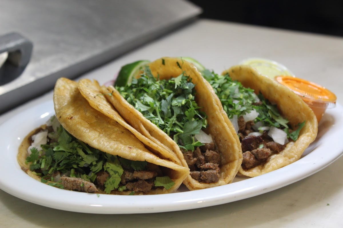 Taco Harvest Food Truck