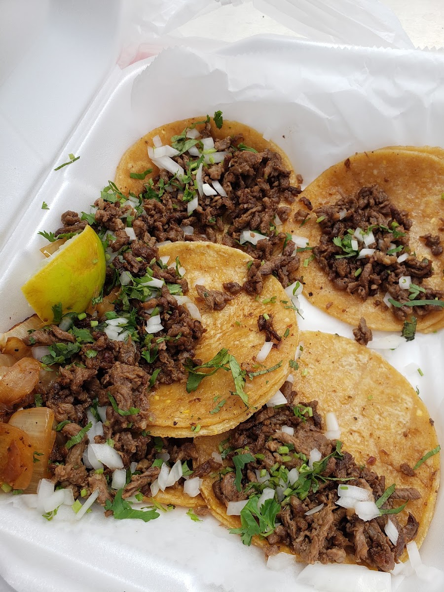 Taco Patron