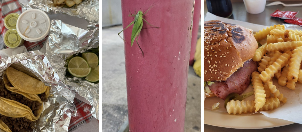 Taqueria Alazan Express
