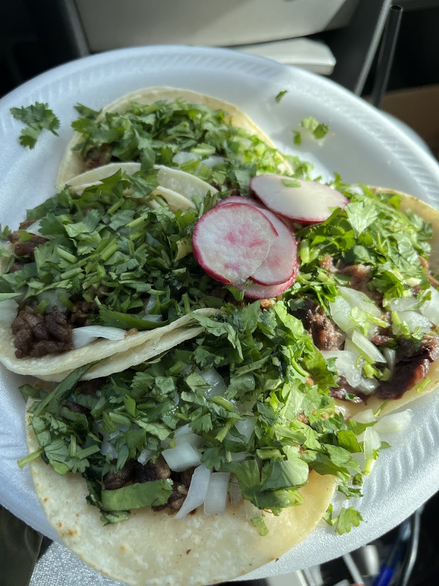 Taqueria Oaxaqueña