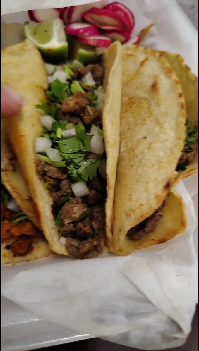 Taqueria Salsabrosa