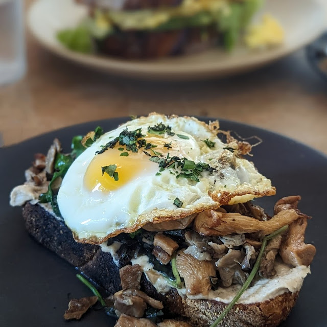 Georgia Mixed Mushroom Toast