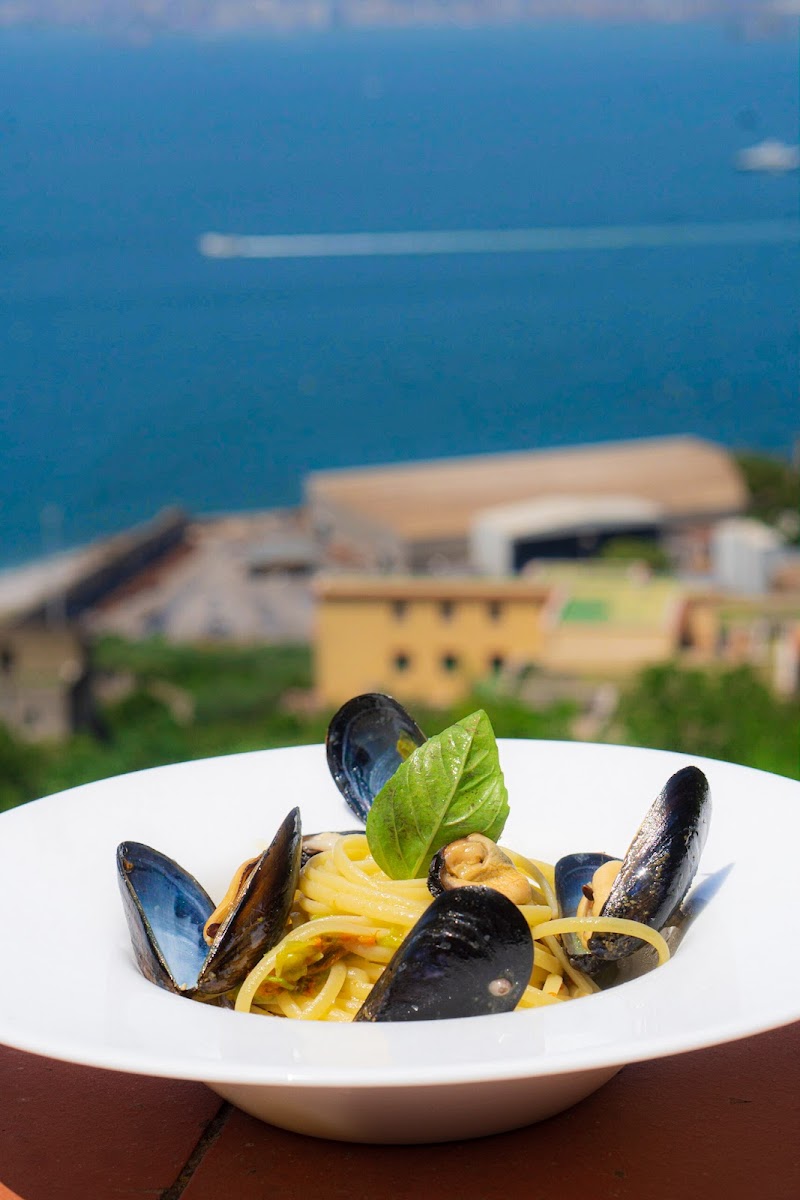 Tenuta Macera
