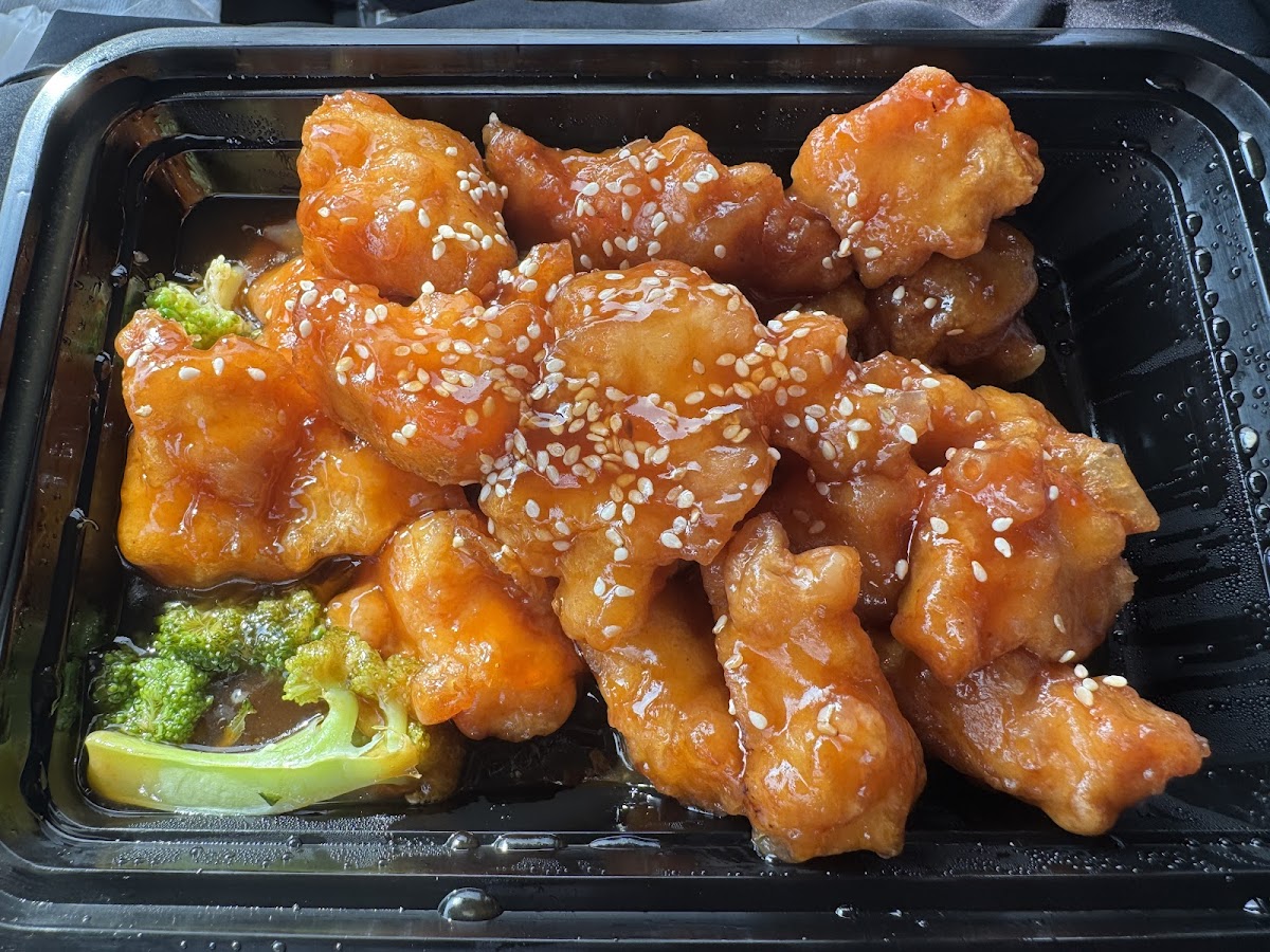 The Dumpling Zone