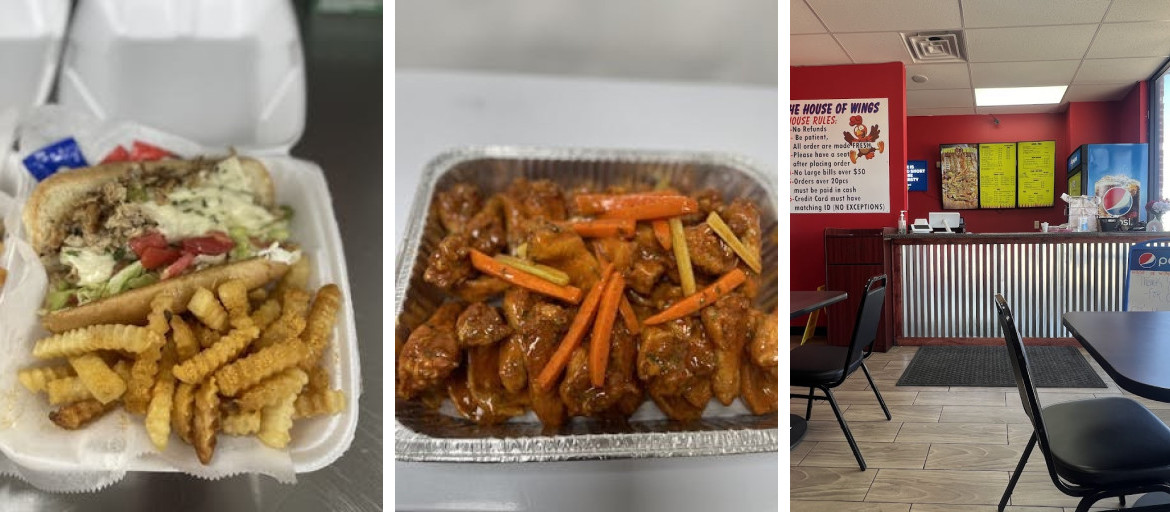 The House of Wings