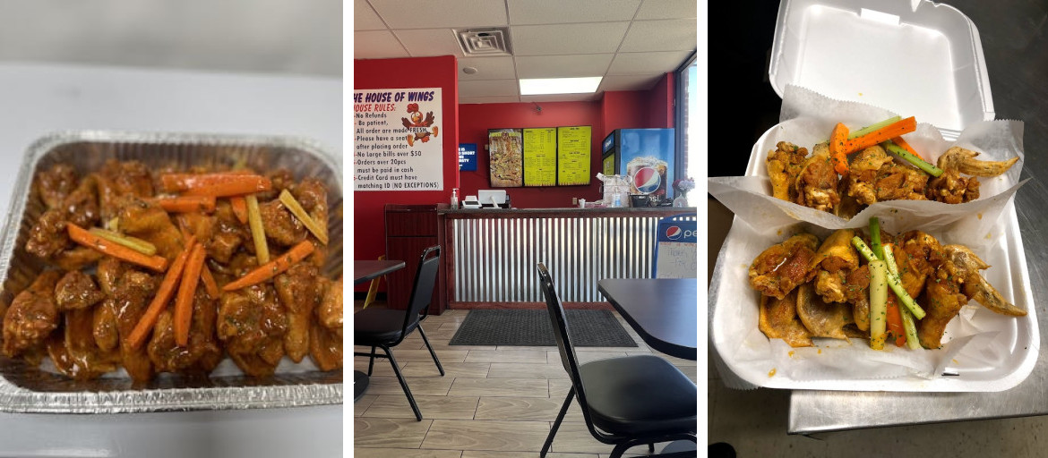 The House of Wings