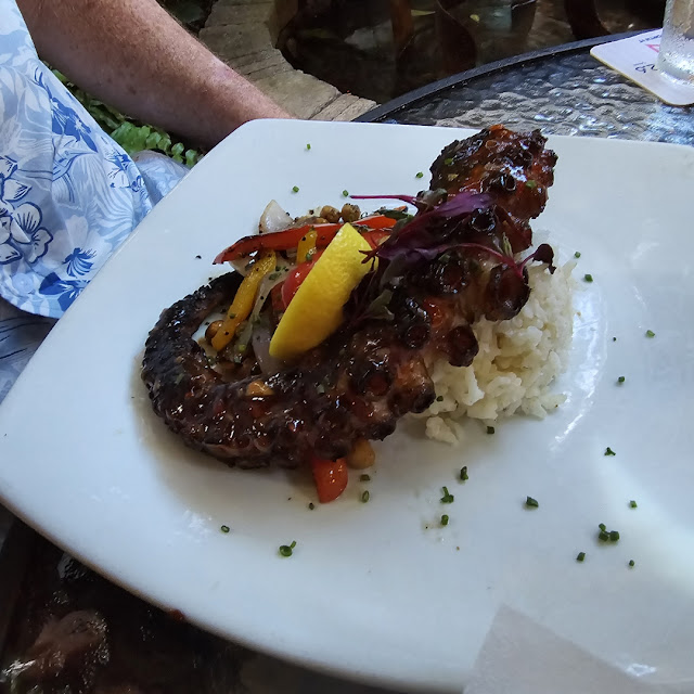 Octopus