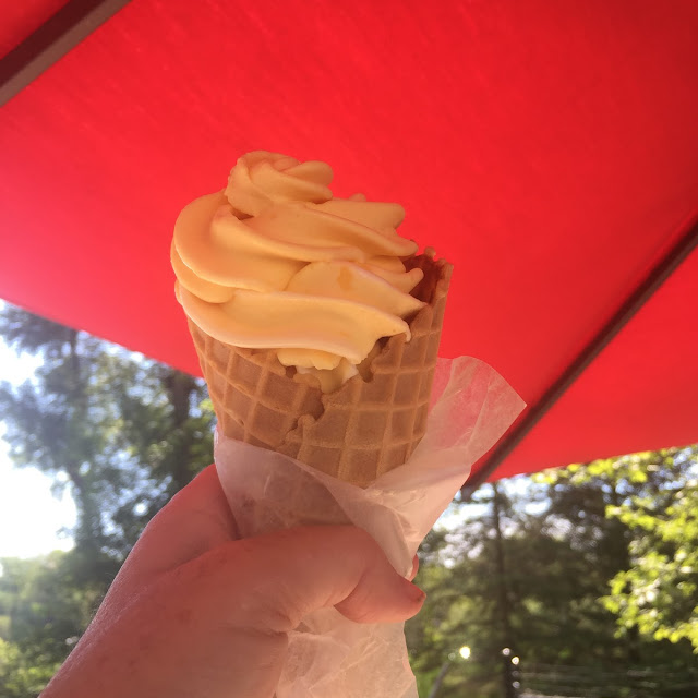 Frozen Yogurt in a Waffle Cone
