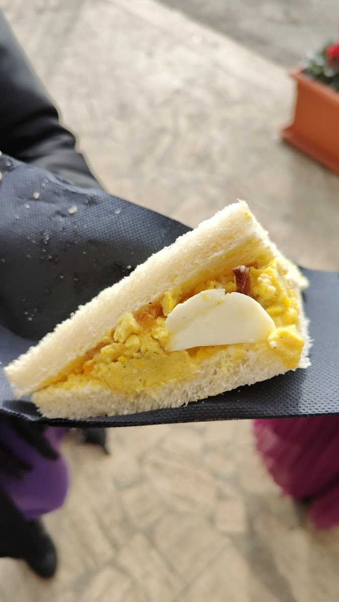 Tragourmet