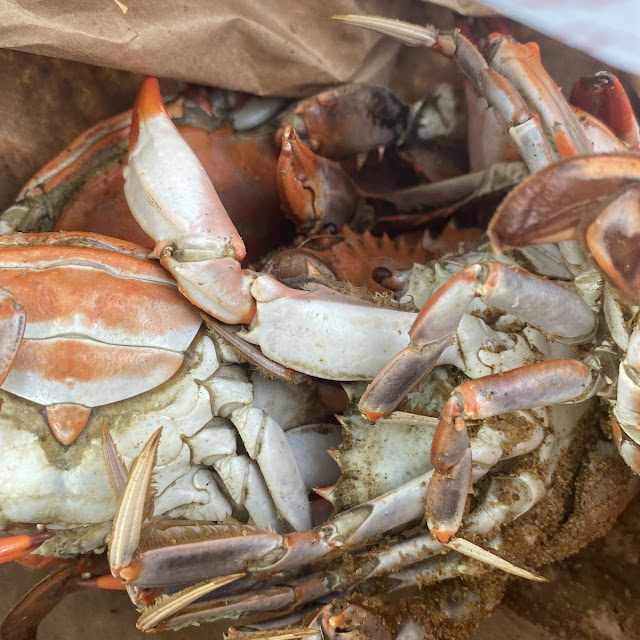 Steamed Crabs