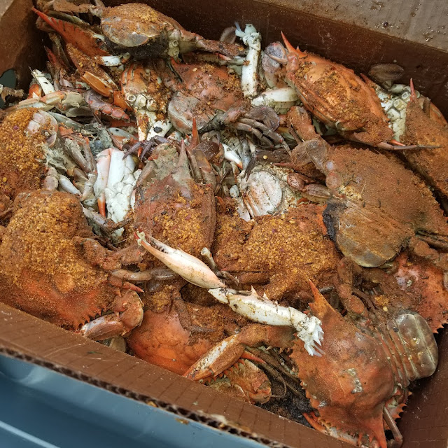 Steam Crabs