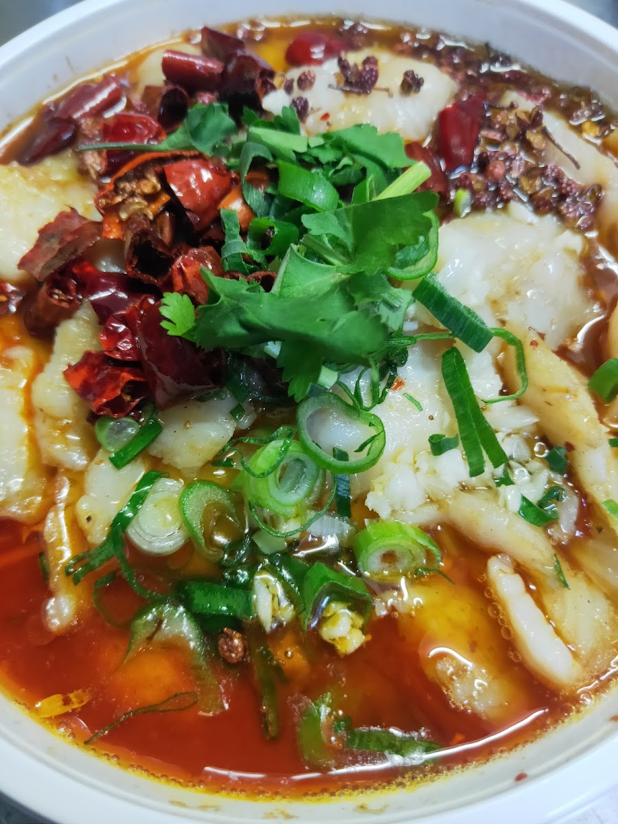 Xi'an Restaurant Ashfield