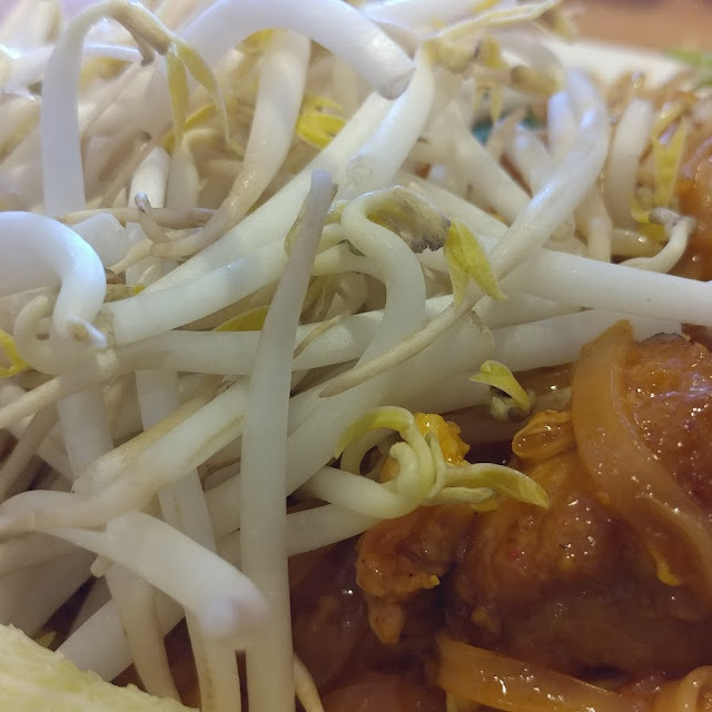 Sauteed Bean Sprouts with Tofu on Rice