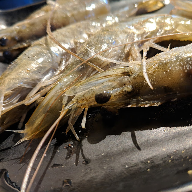 Fresh Shrimp